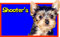 Shooter's Cool Site Award