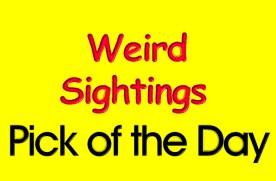 Weird Sightings Site of the Day