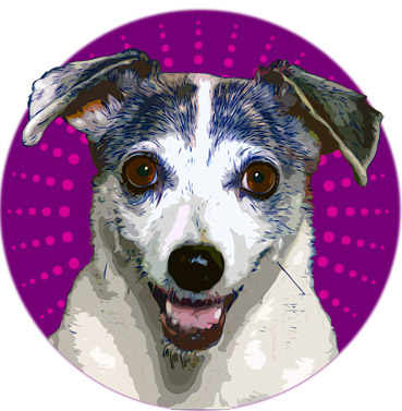 Kylie the Superdog!