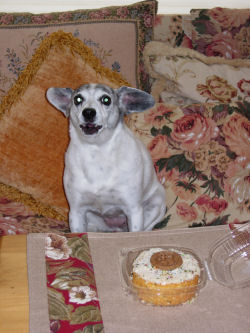 bday3.jpg