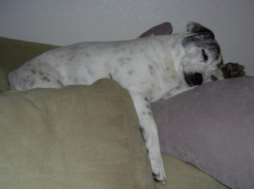 crashed out