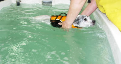 swim5.jpg